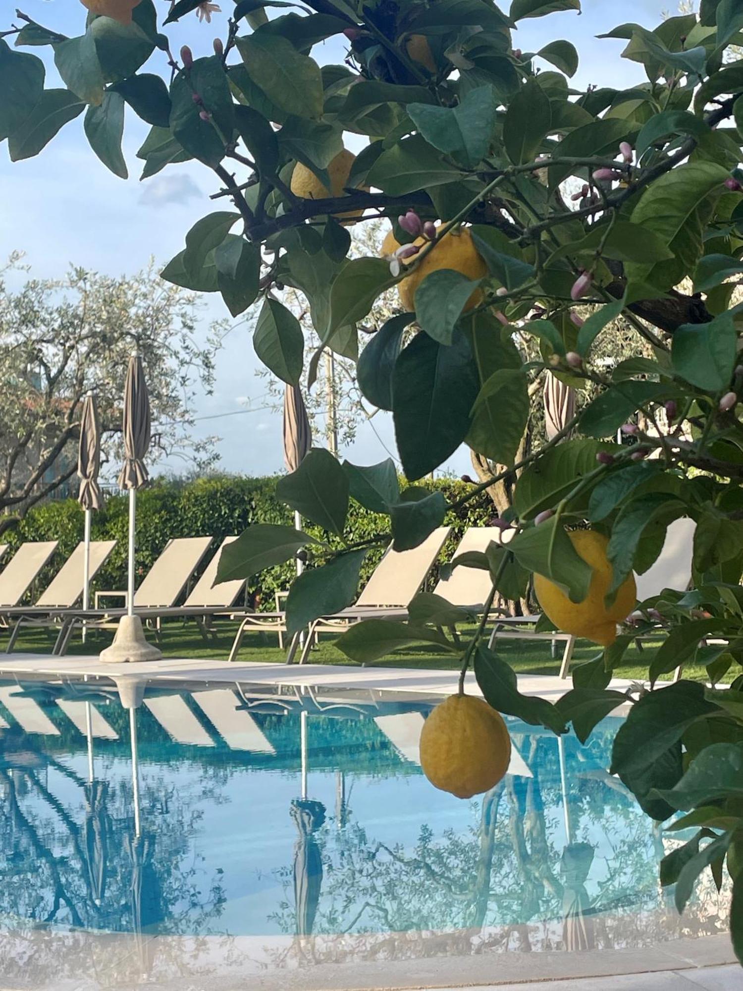 Hotel Al Sole Бардоліно Екстер'єр фото